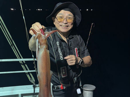 8/8 好調