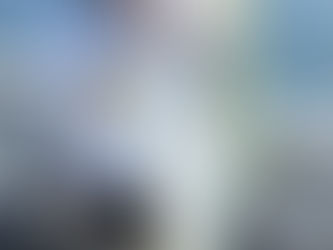 3/21 巨鰤ゲット