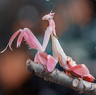 Screen Shot 2024-04-18 at 3.12.08 PM.png