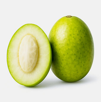 ChatGPT Image Jul 22, 2025, 03_24_31 PM_