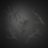 NYT DK Farnum Salon Art + Design.png