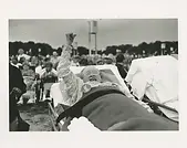 "Arresting Images, a series of over 150 original prints by photographer Dona Ann McAdams, documents the AIDS crisis of ​’80s and ​’90s New York from within. The archive is set to be displayed and put up for sale at New York’s International Antiquarian Book Fair, which takes place 30 April to 3 May."