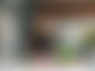 What to expect at the 'Should You Go Gluten-Free Workshop'