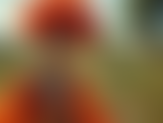 Detailed Costume Progress and Final Photoshoots Showcase