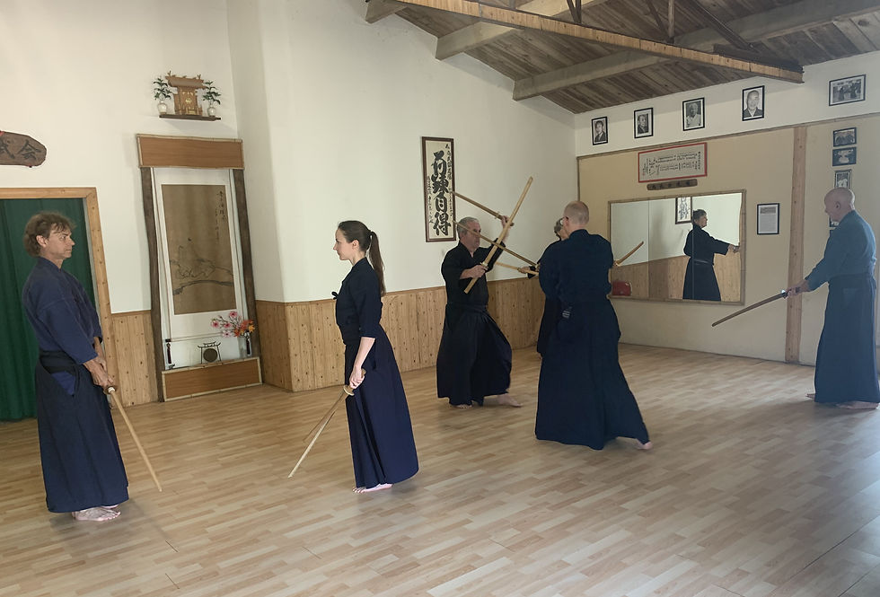 Nitto Waza ou original travail avec deux sabres (Tatchi et Kotatchi), avec au centre Anna, notre petite berlinoise...