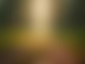 Navigating Identity Restoration and Inner Healing Through Spiritual and Emotional Resources