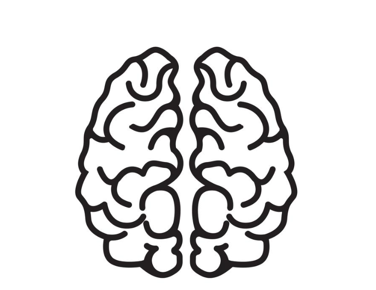 brain icon.png