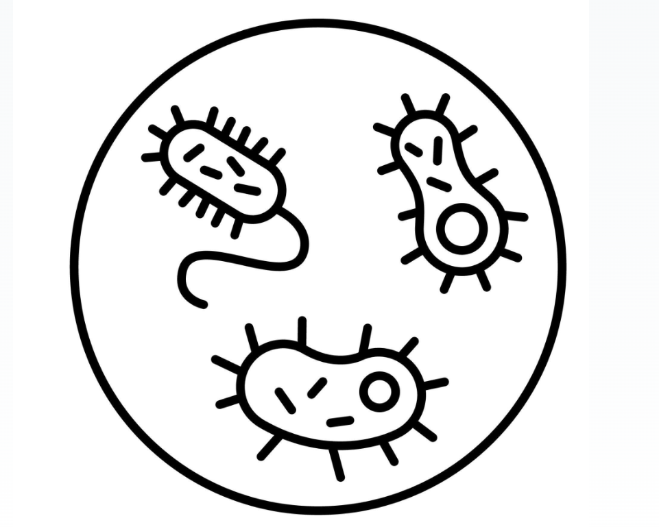 microbiome.png