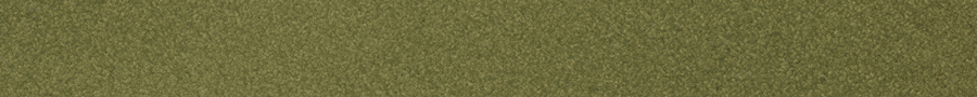 Gif Animado