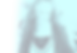 2025 WebsiteLanding Page-headshot_edited_edited.png