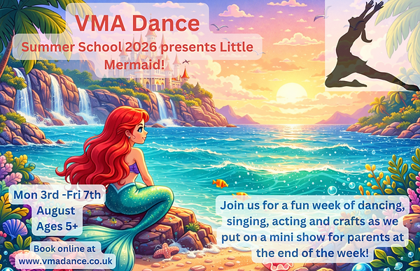 Summer school 2026 (1).png