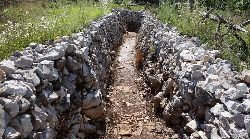 World War one trenches