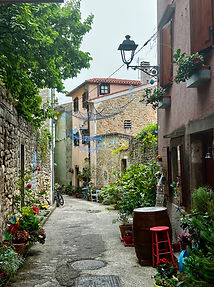 Muggia