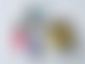 いつもフィンランドに持っていくもの