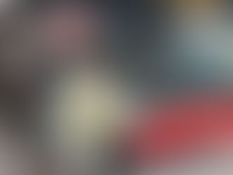 アアルト夫妻の代表作 パイミオ サナトリウムへ①