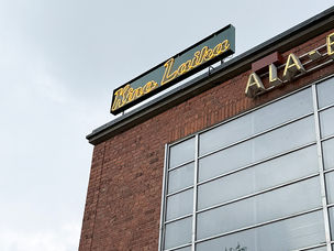 The beautiful Kino Laika .