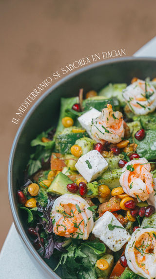 Grilla Dagan Abril -08