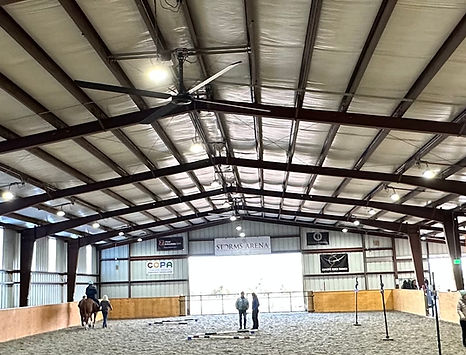 Healing Reins pic for website (2).docx.jpg