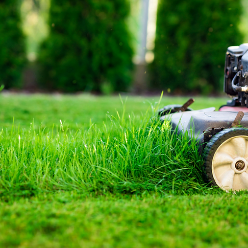 LAWN MOWER.png