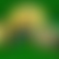 Saturday Afternoon Haul September 3, 2022