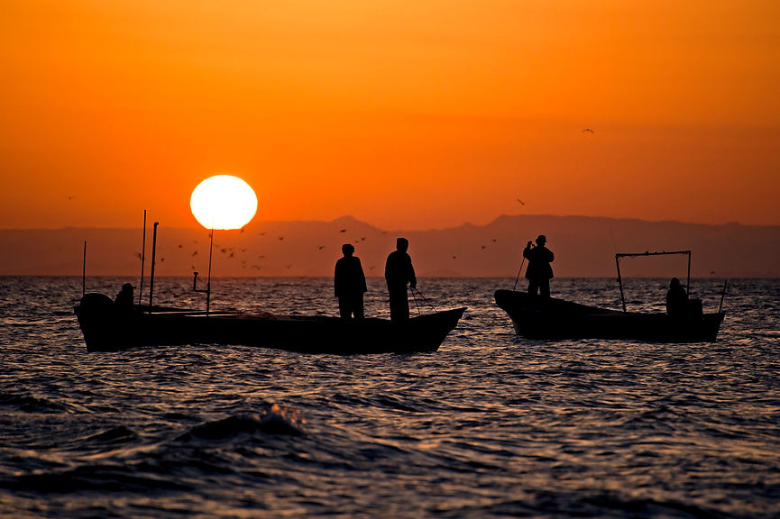 Octavio_Aburto-_DSC3529-Edit.jpg