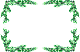 pine-needles-6826441_1280.png