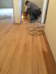 floor sanding 