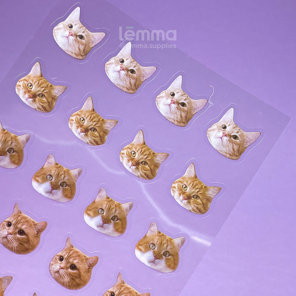 Miniatura: Stickers de Gatitos (x3) Orange Tabby