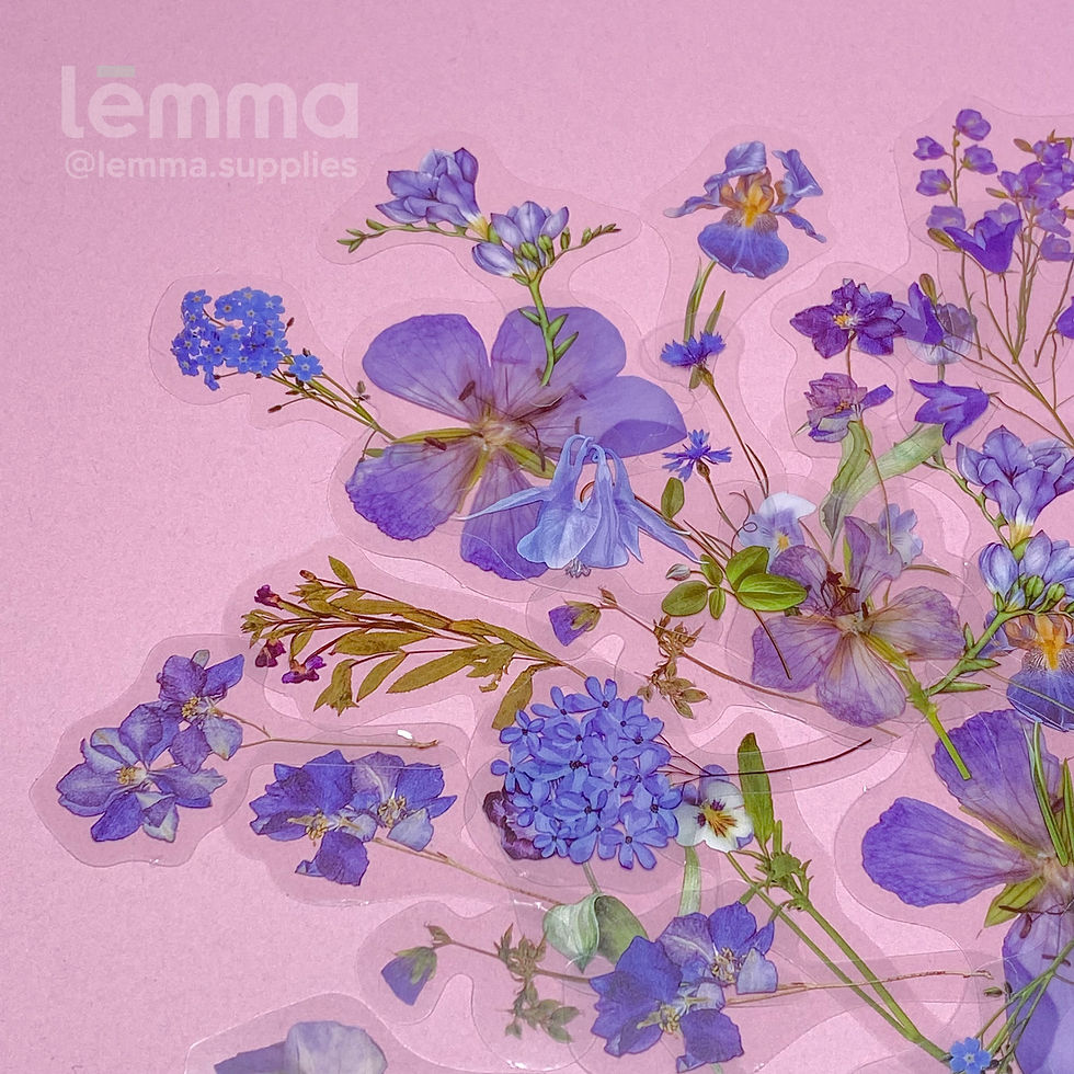 Miniatura: Stickers Botánicos Troquelados Transparentes