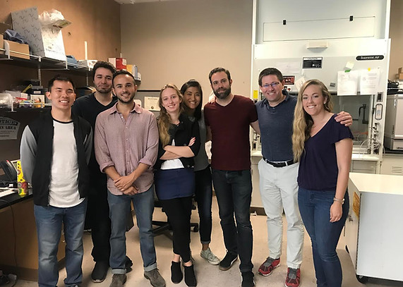 EASE Type 1 Diabetes Bioartificial Project UC Irvine