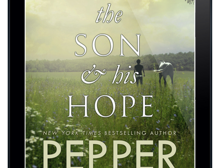 REVIEW + EXCERPT: The Son & His Hope by Pepper Winters