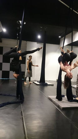 11994265_1201915316491093_1987627530_n