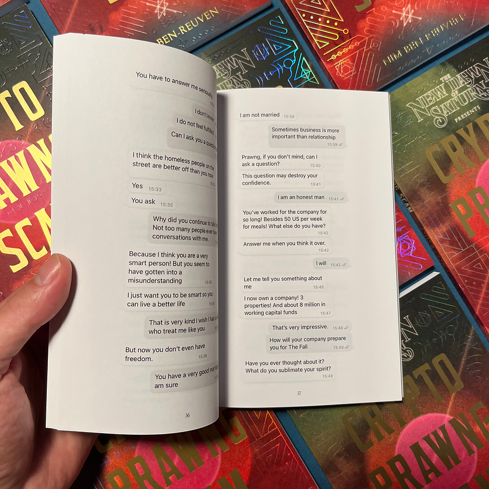 Thumbnail: Crypto Prawng Scam Book