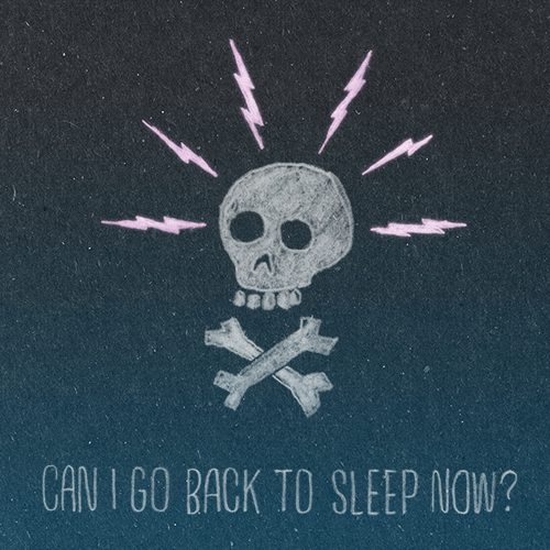 CAN I GO BACK TO SLEEP NOW?
