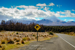 Tongariro