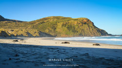 New Zealand see lions