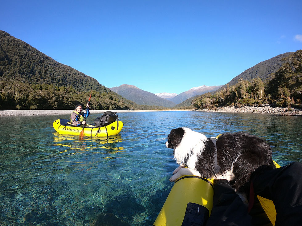 Border Collie Dog Pack-rafting On New Zealand West Coast River