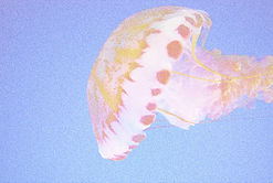Angels of the Deep-04.jpg