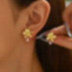 Miniature : Iris 