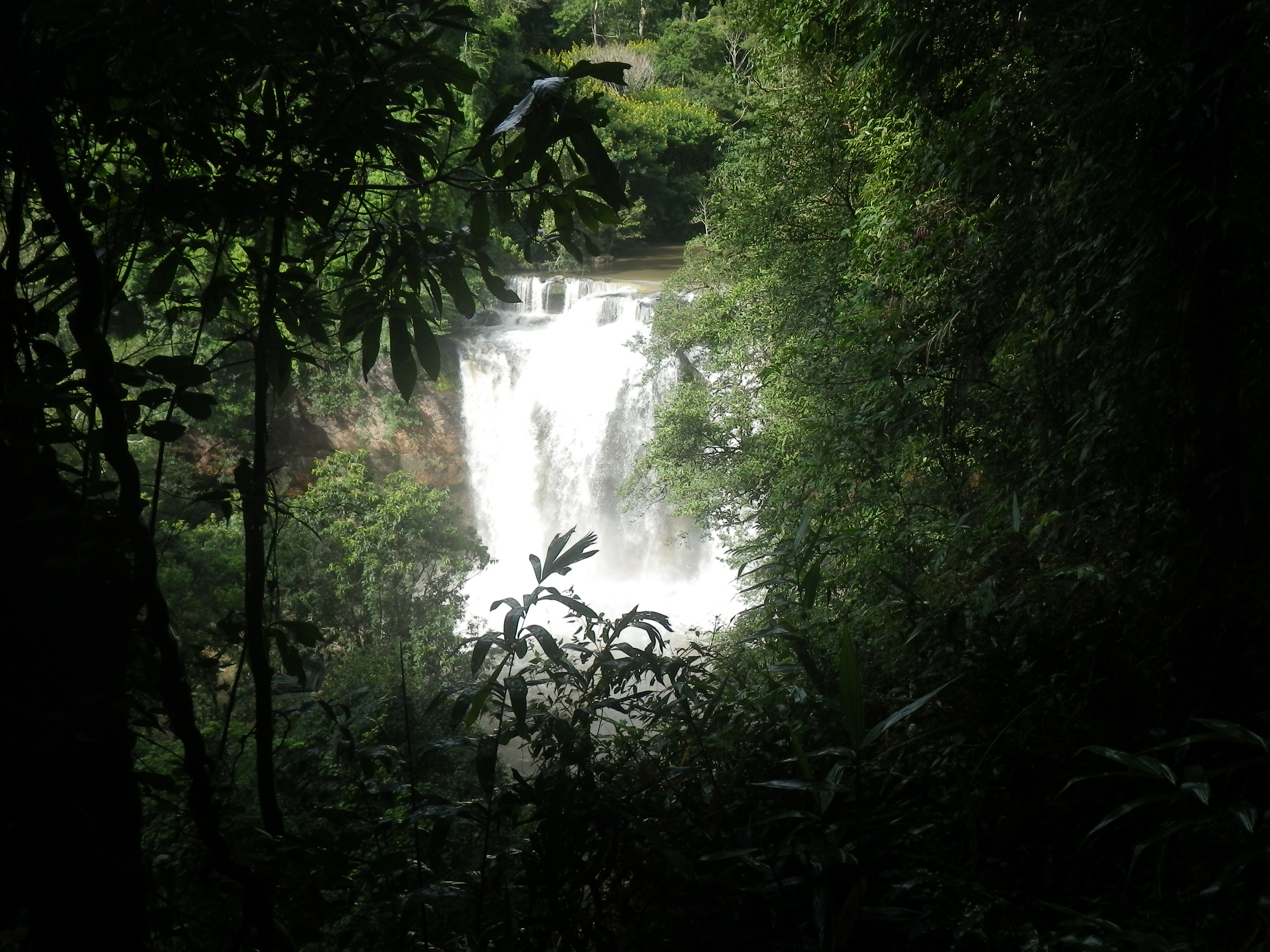 IMGP1468