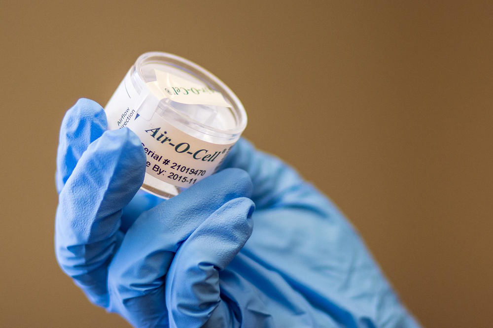 Sampling Methods for Mold