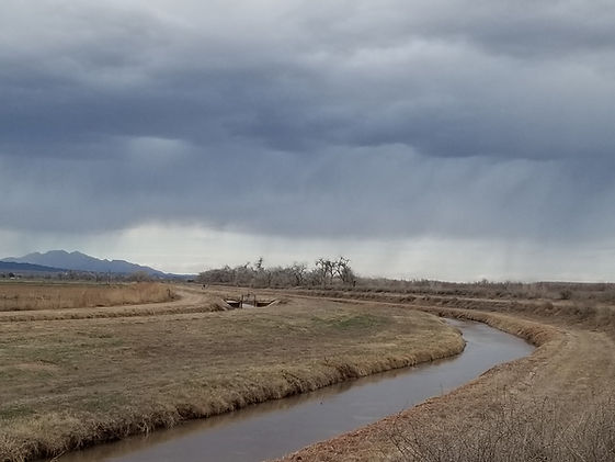 acequia6.jpg