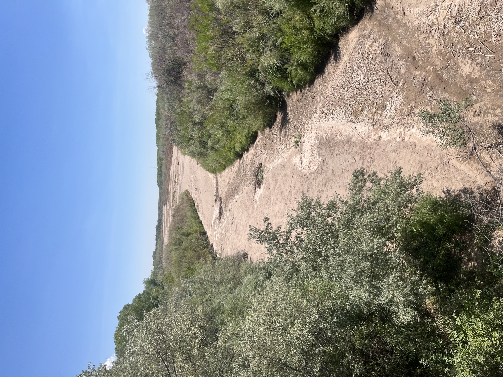 A tranquil view of water flowing through a historic New Mexico acequia under a clear sky.