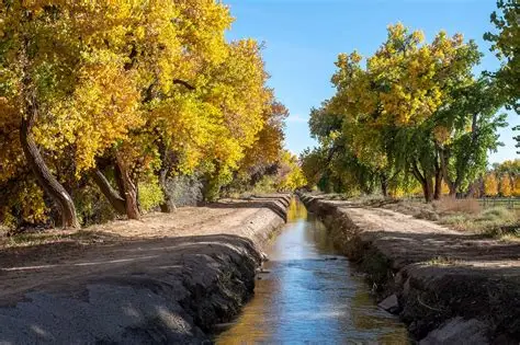 Close-up detail of traditional irrigation stones with flowing water in a desert setting.