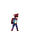 stellaexport.gif