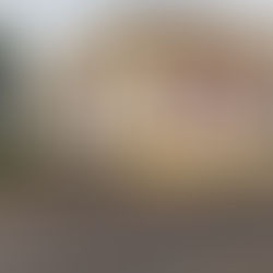 Casa Lacerda, na Lapa, hoje um museu, preservando a memória da família Lacerda e do Cerco da Lapa.