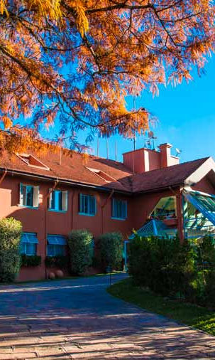 Fotografia de um casarão de arquitetura em estilo europeu e enxaimel, cercado por jardins gramados, arbustos floridos e grandes árvores sob um céu azul, representando a sede da Lapinha Clínica Spa na Lapa, Paraná.
