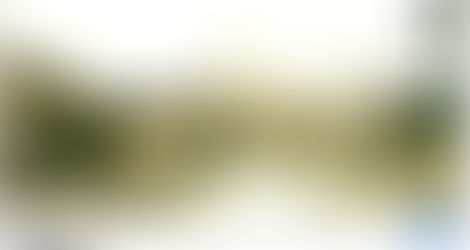 O projeto da Klabin encontrou resistência feroz. Além de denúncias de supostos favorecimentos pelo interventor Manoel Ribas, a campanha contra a Klabin vinha impregnada de antissemitismo. Jornais da época destacavam que os sócios Wolff Klabin e Horácio Lafer eram judeus. Para os detratores, isso bastava para tornar o investimento “indesejável”.