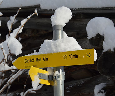 Road sign snow