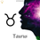Thumbnail: Taurus
